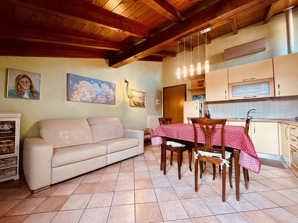 arillo real estate theme